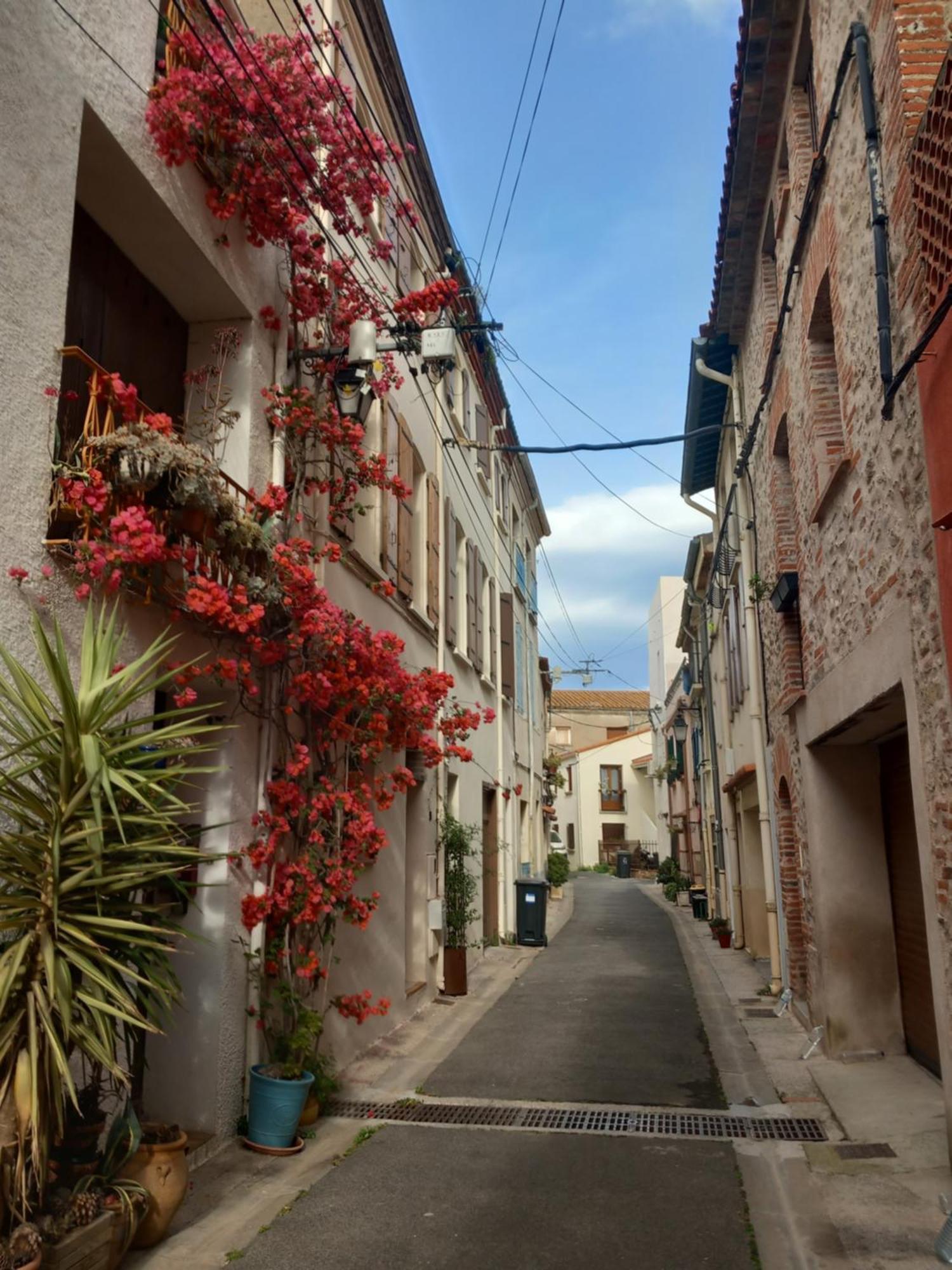 Maison De L'Esprit Catalan Argeles-Sur-Mer Ngoại thất bức ảnh